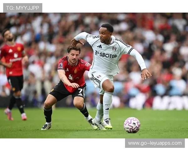 富勒姆瞄准葡超高效前锋：新赛季冲击英超锋线的潜力巨星